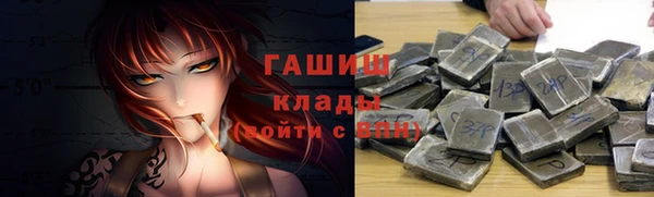 хмурый Алексин