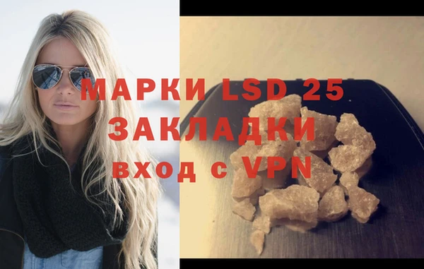 хмурый Алексин